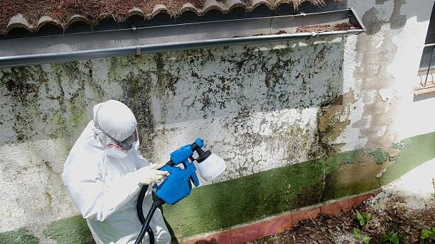 Top rated local Mold Remediation specialists in Blue Bell, PA